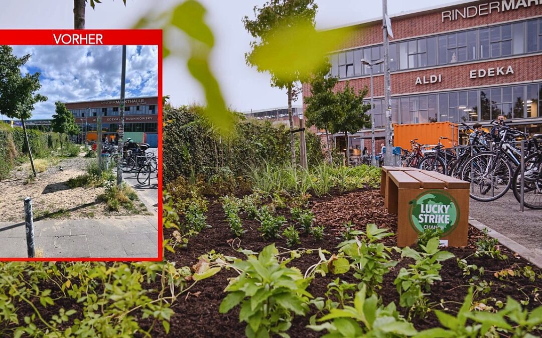 Lucky Strike Change: Urban Gardening, Involvement und Change-Mechanik